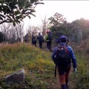 돌산유람선선착장 이미지