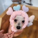 아이러브멍 이미지