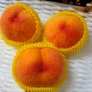 철호농장 이미지