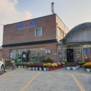 애림꽃도매 | <삼례애림꽃농장> 전주꽃집/전주저렴한꽃집/전주도매화원/전주화분싼곳