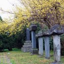 의사김응삼순절비 이미지