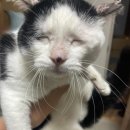 관순로 | 할 일은 미리미리