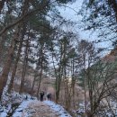 충북 단양 소백산국립공원 비로봉에 피어난 설화는 환상적이었고 정상의 칼바람은 여전 하더라~.. 이미지