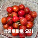 야채가게 - 부천시 원미구 부천로 34 | 방울토마토 소과 5kg 활용 샐러드 등 과일네 야채가게 요리 후기