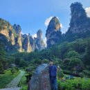 정도행정사 이미지