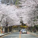 자유공원