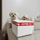 정애축산 이미지