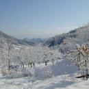 산촌편지