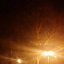 원지분식 이미지