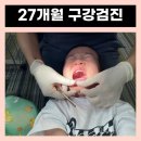 미래꿈나무쥬니어치과의원 | 병점 27개월아기 영유아 구강검진 가능한 미래꿈나무치과