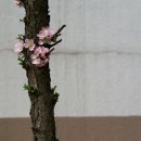 구세의원 이미지