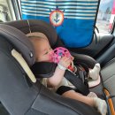 베베퓨어 | 제주 카시트 대여 &#39;퓨어베베&#39; 매장 방문 수령 반납 이용 후기