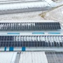 참빛태양광발전소 이미지