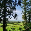 보름식당 이미지