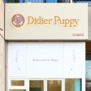 디디에퍼피 이미지