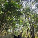 온평리경로당 이미지