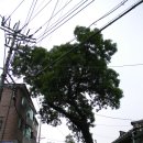 꿀단지약국 이미지