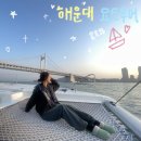 부산 해운대 요트투어 &#39;요트와&#39; 선셋 타임 예약 후기!