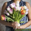 마음봄정신건강의학과의원 이미지