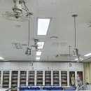 호원초등학교 이미지