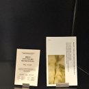 용산-405 | [용산 서울역] 센터커피 추천 후기 | 여행 전 들르기 좋은 오미자 티에이드 맛집