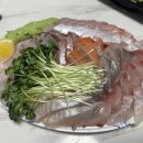 싱싱회천국 이미지