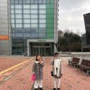 기획공연 국립심포니오케스트라-시네마클래식 데이 | [방학] Day 13. 발렌타인데이 지브리 OST 콘서트 : 디 오케스트라