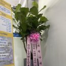 스웻바디라이프mma주짓수킥복싱 이미지