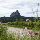 진안군농업기술센터 이미지