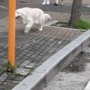 은행초등학교 이미지