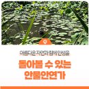 안물안연가