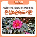 삼선산수목원 숲속도서관 | 삼선산수목원 겨울 즐길 거리 동백꽃 만개한 온실&amp;숲속도서관
