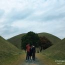 새날학교 | 경주 대릉원 포토존, 천마총 입장료 무료 기간 10월24일~11월16일 관람 후기