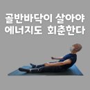 [ 마름모코어 시즌 3-93 ] 골반바닥의 오그라든 근육부터 펴 봄날의 에너지로 돌아가자! 이미지