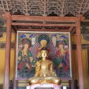 고산사목조석가모니불좌상 | 우리나라 최고 목조 건물 극락전이 있는 안동 봉정사