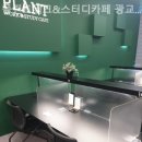 플랜트스터디카페 광교라운지