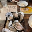 케이엔마트 | 삿포로여행 - 식도락