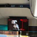 범범푸드 | 2026 우즈 Archive.1 토요일 콘서트 후기