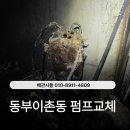 동부부분정비 | 동부이촌동 펌프교체 현장 후기 지하 침수 문제 해결과 배관 정비 사례