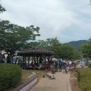 남문로 | 씬나부네 철마미니워터밤후기 진도읍 남문로축제 진도군상권활성화재단