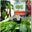 [인천/을왕리맛집] 10000원에 행복해지는 건강밥상 `해송쌈밥` 이미지