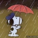 계성주식회사 이미지