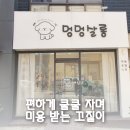 멍멍살롱 이미지