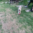 푼타하우스 이미지