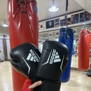 박창환 복싱클럽 이미지