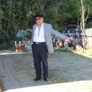 한승원 카카오 검색결과