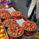 영성동로 | 삼산 농산물시장 과일동 딸기 구매 후기