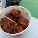 백곡낚시터 이미지