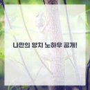 탄탄치과의원 이미지