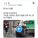 도도앤정